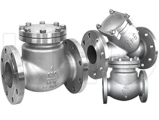 Check valve/filter series