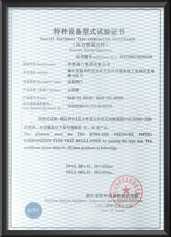Special equipment type test certificate - check valve