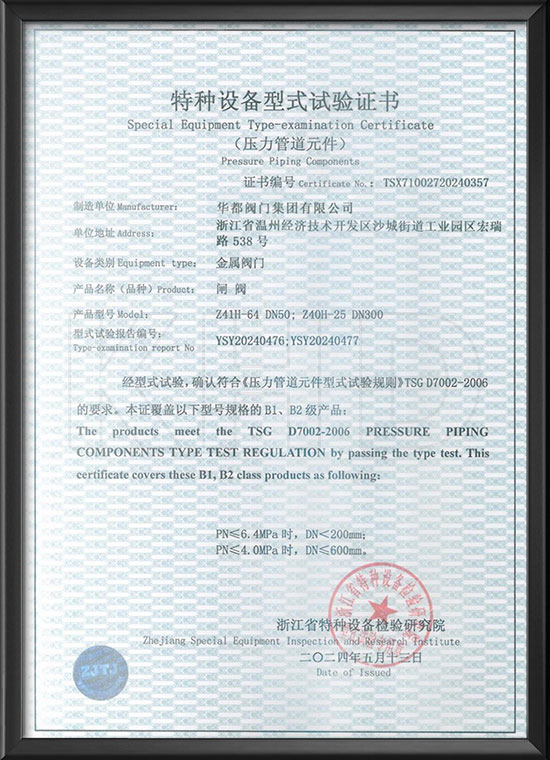 Special equipment type test certificate - gate valve