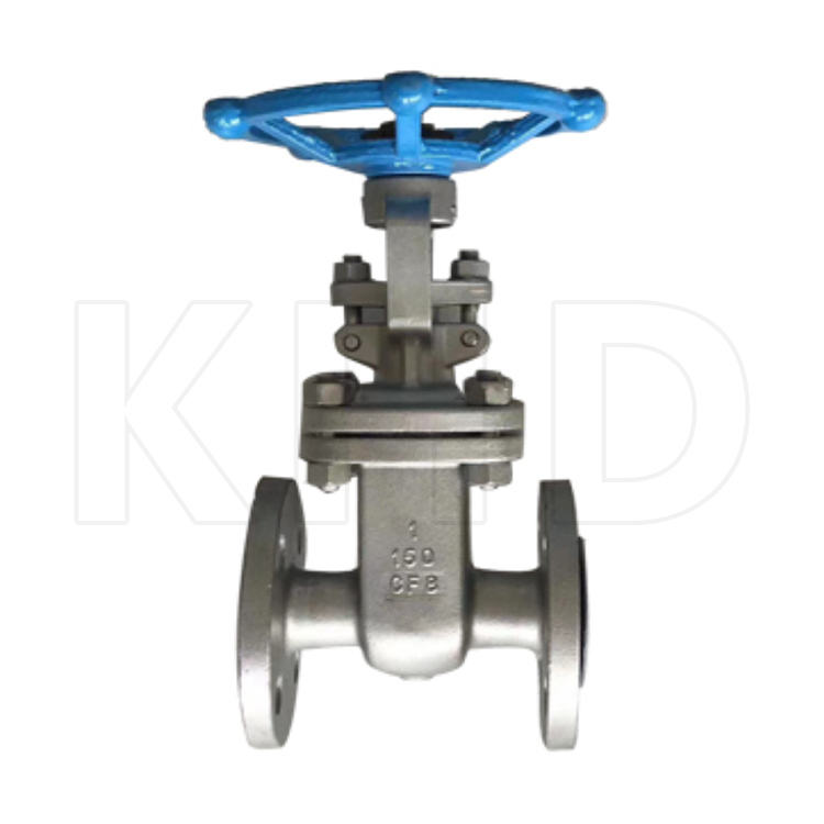 API stainless steel gate valve