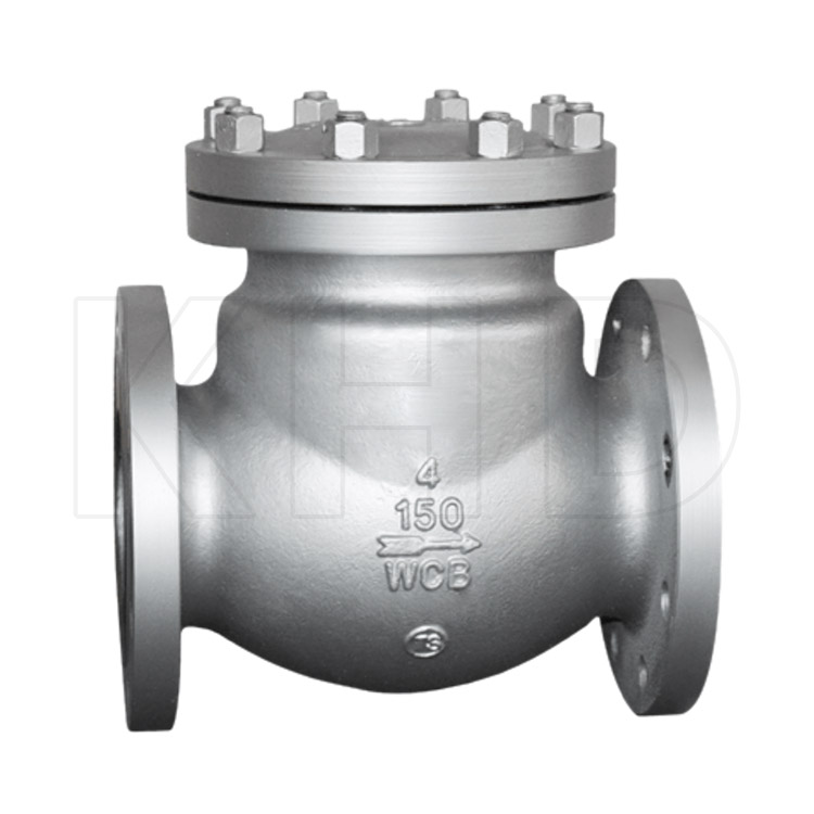 Check valve/filter series